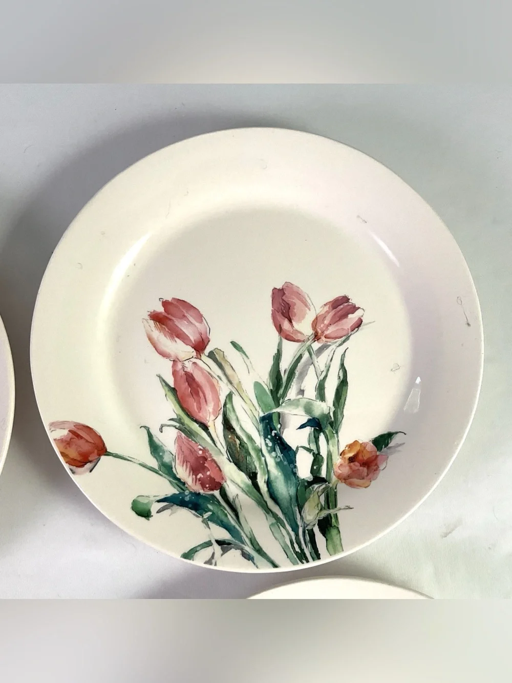 Pier 1 Pink Tulip Floral Dinner Plates - Set of 4